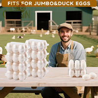 Ventes en gros de barquettes à œufs en plastique transparentes réutilisables à 6 compartiments avec couvercles pour les agriculteurs, prix bas