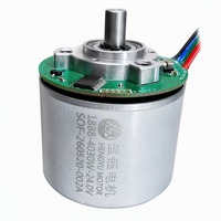 Motor sin Escobillas de Imán Permanente BL4030W 24V, Rotor Externo de 40mm de Diámetro Exterior, IP54, Control PWM para Pistola de Masaje Fascial Portátil