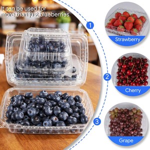 Cajas de Plástico PET Transparente Reciclables Tipo Concha para Arándanos, Adecuadas para Arándanos, Tomates y Uvas - Product Image 4