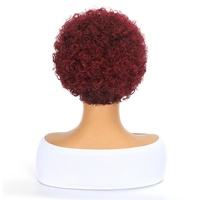 Perruque courte bouclée en cheveux humains UMS Wholesales - Perruque afro bouclée à explosion avec dentelle frontale 13x1, coupe elfe