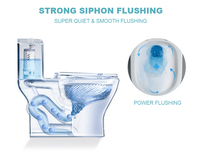 WC monobloc Ovs Soft Close avec couvercle en PP, siphon en S, cuvette de 305 mm, blanc, chasse d'eau puissante, en vente