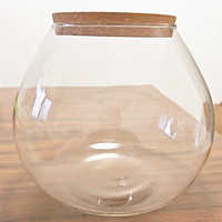 Grand terrarium en verre moderne pour plantes aériennes et succulentes - Vase de table fait main écologique pour la décoration de la maison/du bureau