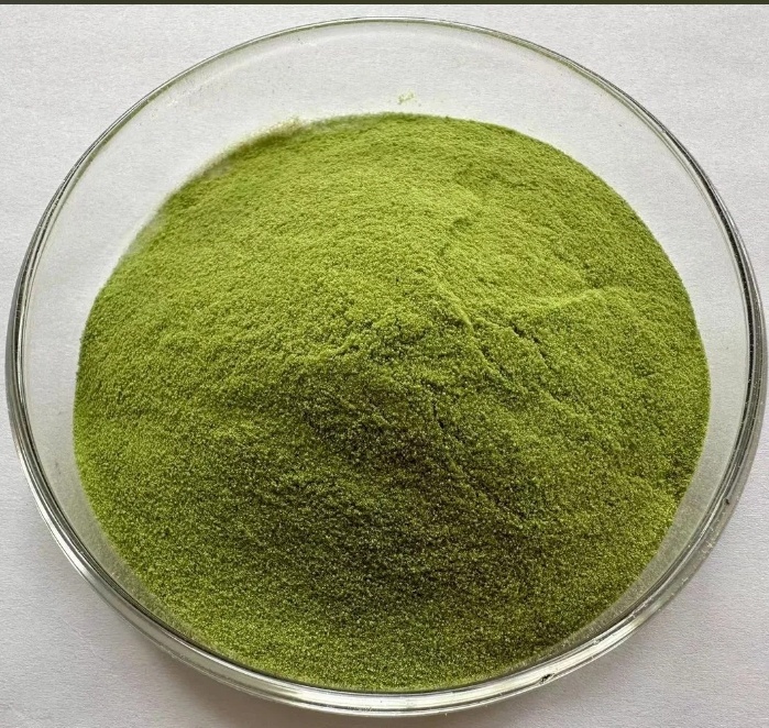 Top Quality Green Seaweed Extract Organic
