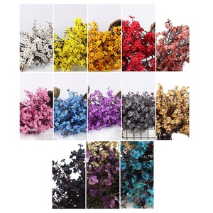 <span class=keywords><strong>ดอก</strong></span>ไม้ประดิษฐ์ทำมือสีขาวแดงแบบกลุ่ม สำหรับตกแต่งโต๊ะ ผนัง หรืองานฮาโลวีน ทำจากผ้าไหม พร้อมดอกยิปโซฟิลลา - Product Image 4