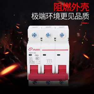 Disjoncteur miniature série DZ47 1P/2P/3P/4P 1A-125A 230V/400V Montage sur rail Type C Protection contre les surcharges et les courts-circuits - Product Image 4