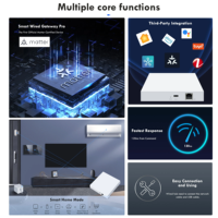 Hub passerelle ZigBee Matter pour maison intelligente, pont sans fil pour contrôle vocal et à distance via application, appareil d'automatisation compatible avec Alexa et Google