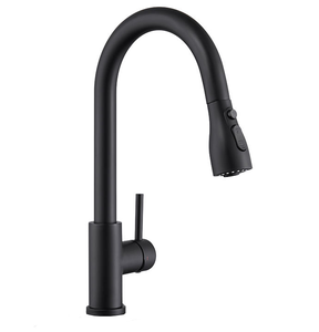 Modern Luxury Single Hole 304 SS Pull Down Kitchenand bathroom Faucet Pull Out - Product Image 1