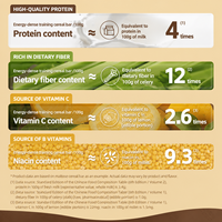 Barra de Granola de Proveedor Verificado, Nutritiva y Vegana, Reemplazo de Comida, Gestión de la Salud, Alimento Saludable, Barra de Cereal