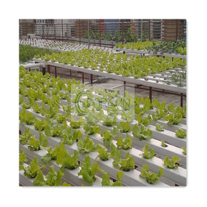 Système hydroponique vertical NFT à irrigation automatique et drainage pour fraises domestiques avec nutriments - Product Image 5