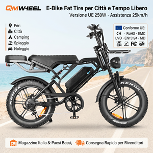 QMHEEL V20 Pro 20 Inch Fat Tire Electric Bicycle Bici Elettrica Italy Warehouse Wholesale Supplier Factory Bulk Order Export OEM - Product Image 1