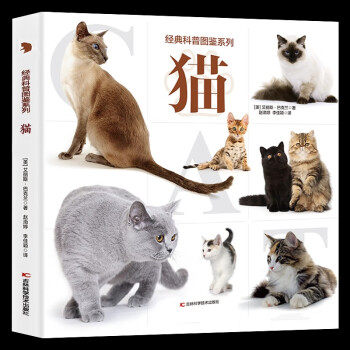 Gatto