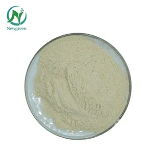 Factory Supply High Quality Pure Sunflower Lecithin Powder