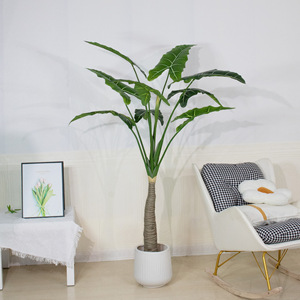 Plante artificielle Arum en pot, très populaire, pour décoration de bureau et intérieur - Plantes vertes Arum à vendre - K - Product Image 5