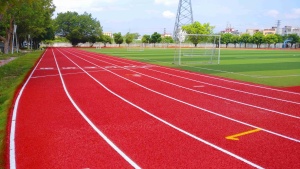 INOLP - Suelo Deportivo de Césped Artificial Ecológico Personalizable, 10 mm de Grosor, Pista de Atletismo para Exteriores, Hecho con Materiales Reciclados No Tóxicos - Product Image 6