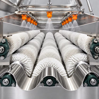 Wortelgroenten borstel- en schilapparatuur voor het wassen van aardappel, wortel, gember, yam, taro en cassave