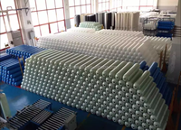 Boîtier de membrane FRP 1252 |   Réservoir léger en fibre de verre avec garantie d'un an pour usage domestique, hôtels et purificateurs d'eau RO à petite échelle