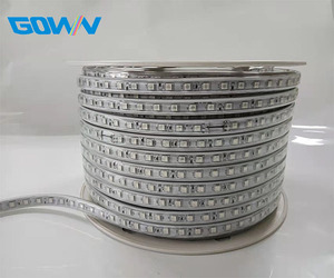Alta calidad AC110V 220V 60leds/M tubo de una sola fila impermeable IP67 5050RGB tira de LED para exteriores - Product Image 2