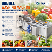 Commerciële automatische bubbelwasmachine voor aardappelen, wortelen, kool, sla, fruit en zeevruchten