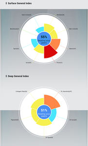 Máquina de teste facial inteligente, analisador de pele profissional portátil - Product Image 4