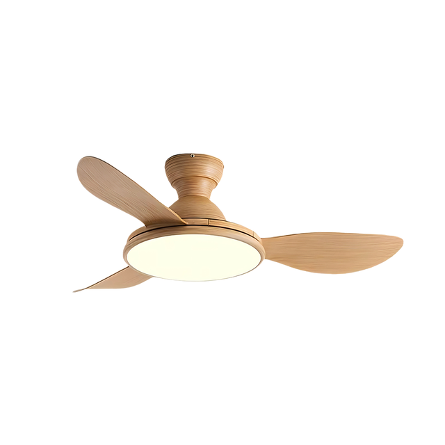 Household Integrated ABS Blades Ceiling Fan Light Noiseless Fan Chandelier