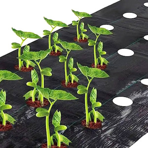 Toile anti-herbe perforée en <span class=keywords><strong>PP</strong></span> noir, pliable, coupe-vent, facile à nettoyer, pour l'horticulture, l'agriculture et le désherbage des vergers - Product Image 2