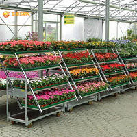 Chariots de fleurs à étagères en fil de fer danois robustes avec 5 étagères