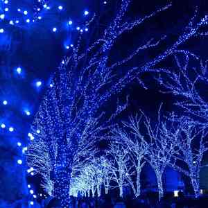 โกลก้า 300LED ไฟประดับสายไฟ 30M สายไฟสีขาว แสงสีฟ้า IP65 ตกแต่งภายในและภายนอกอาคาร - Product Image 4