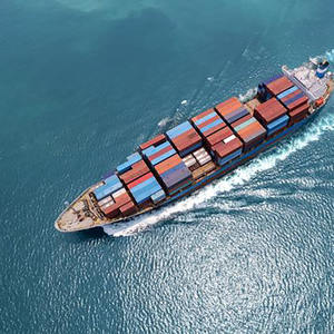 Agente de carga internacional para FCL Sea Shipping Agent de China a Dinamarca Transporte de servicios de logística de carga - Product Image 5