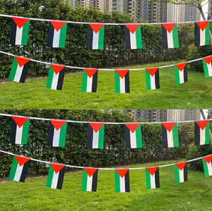 Promoción personalizada 14*21 cm bandera decorativa interior y exterior personalizada banderines palestinos Palestina cadena bandera - Product Image 5