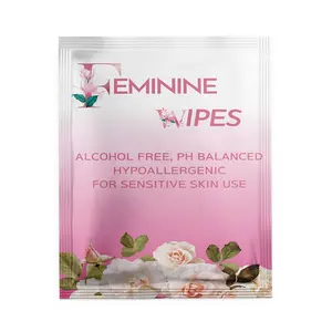 Refreshing Feminine Wipes Removes Odor PH Balanced Travel Hand Wipes For Women