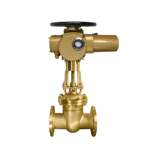 Actionneur électrique multi-tours en acier inoxydable pour vanne d'eau COVNA, 6 pouces - Product Image 1