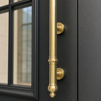 Porte d'entrée antivol en acier noir mat, double battant, avec grilles en verre transparent et poignées en laiton, style Urbain Chic, pour centre commercial et résidence architecturale