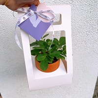 Boîte à fleurs rectangulaire en carton faite à la main pour l'emballage de plantes et de bouquets, vente en gros