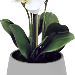 Orquídea Artificial de Alta Simulación Oh Arts, Bonsái de Orquídea Phalaenopsis Blanca Artificial para Decoración de Hoteles y Hogares - Product Image 5
