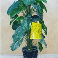 8*6 Inch Gele Lijm Plaagkaart Voor Vangst Boerderij Vliegende Plant Mug Apple Fruit Fly Insect Plakkerige Val