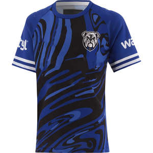 2026 Service OEM personnalisé Maillot de rugby en polyester vierge, T-shirts et shorts de rugby, Tenue de football tactile, Impression par sublimation Dog - Product Image 2