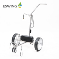 Chariot de golf à distance intelligent en acier inoxydable de haute qualité 24V 10Ah avec frein de stationnement automatique à moteur sans balais et longue portée