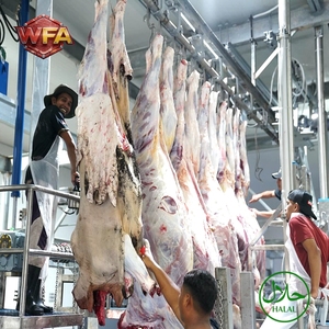 Boîte de retournement de carcasses Halal, structure robuste en acier inoxydable, équipement auxiliaire pour le retournement des carcasses bovines et ovines - Product Image 3
