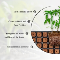 Plateau de 128 alvéoles en fibre de coco, 5120 pastilles de coco pour la germination des semences et la culture hydroponique en pépinière