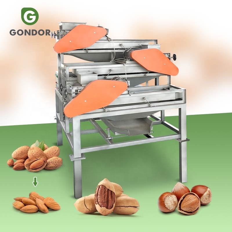 Apricot Breaking Palm Kernel Removed Pistachio