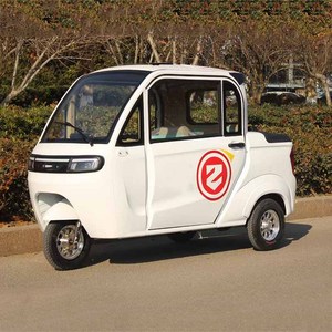 Mini tricycle électrique 2 portes <span class=keywords><strong>4</strong></span> <span class=keywords><strong>places</strong></span> + adulte + Tricycle Pickup Fashion Electric Cargo Tricycle <span class=keywords><strong>4</strong></span> Pasenyer Supplier 1000W Tres Ruedas - Product Image 5