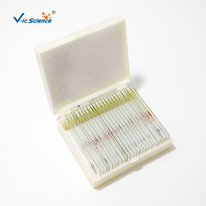 Portaobjetos Preparados para Microscopio de Tejidos Biológicos, Usados en Enseñanza Médica, para el Aprendizaje de Estudiantes de <span class=keywords><strong>Primaria</strong></span> y <span class=keywords><strong>Secundaria</strong></span> - Product Image 4