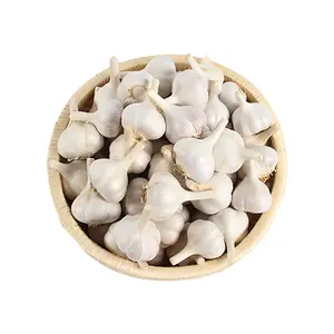 Global Export Selling High Quality 2023 Crop Fresh White Garlic at Low Market Price Produced In China
