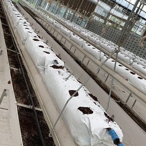 Poli siyah beyaz Hydroponics bitki dikme çantası domates büyüyen çanta hydroponic Soilless büyüyen çanta