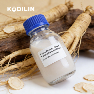 人参纳米乳液提取物 100g 大容量脂质体混合物 修复皮肤屏障，打造纯净美丽 人参提取物纳米乳液 - Product Image 1