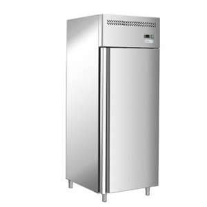 Freezer verticale professionale AFP/G-GN650BT - Product Image 1