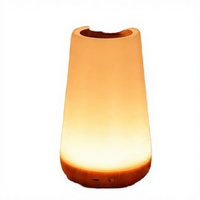 Lampe de chevet moderne à LED avec télécommande USB rechargeable, lumière d'ambiance créative à changement de couleur RGB tactile