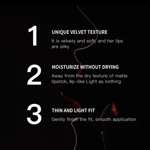 Rouge à lèvres mat hydratant imperméable de haute qualité OEM professionnel avec logo personnalisé en gros, marque propre - Product Image 3