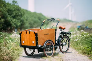 Lithium Battery Tricycle Steel Ce Standard Brushless Cargo Bike Pedal Assist Mobility Bike EU Warehouse Delivery Bike