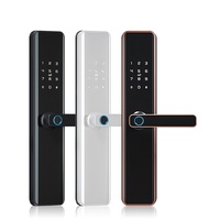 Serrure multifonctionnelle Wi-Fi en alliage d'aluminium style graffiti avec empreinte digitale, mot de passe et contrôle par application pour porte de sécurité et porte en acier